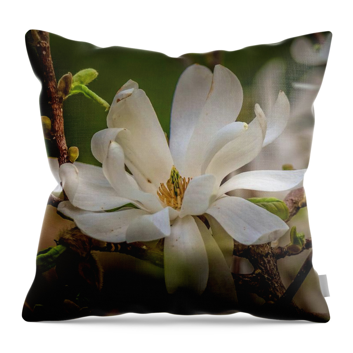 Spring Throw Pillow featuring the photograph Magnolia Flow by Susan Rydberg
