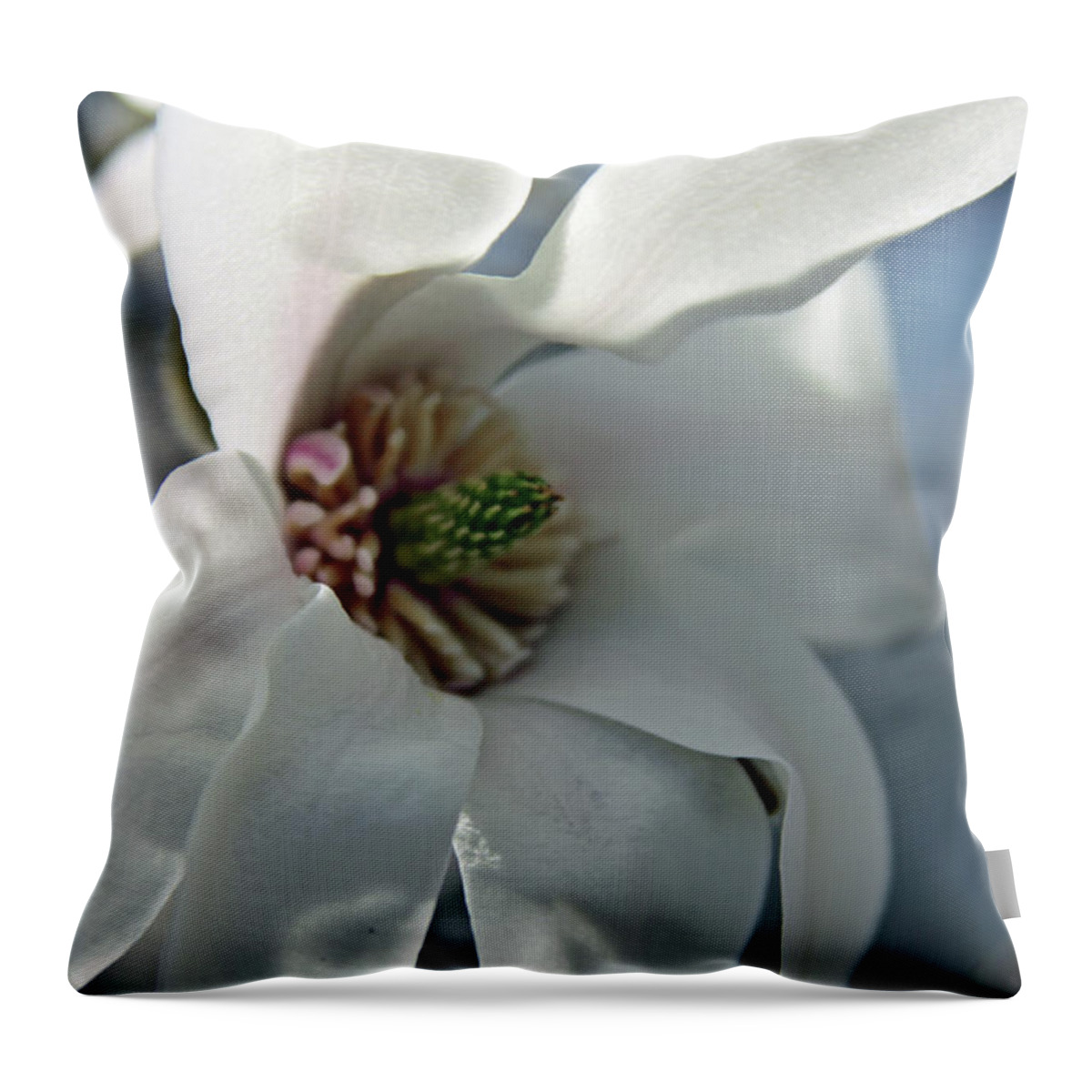 Magnolia Throw Pillow featuring the photograph Magnolia5471 by Carolyn Stagger Cokley