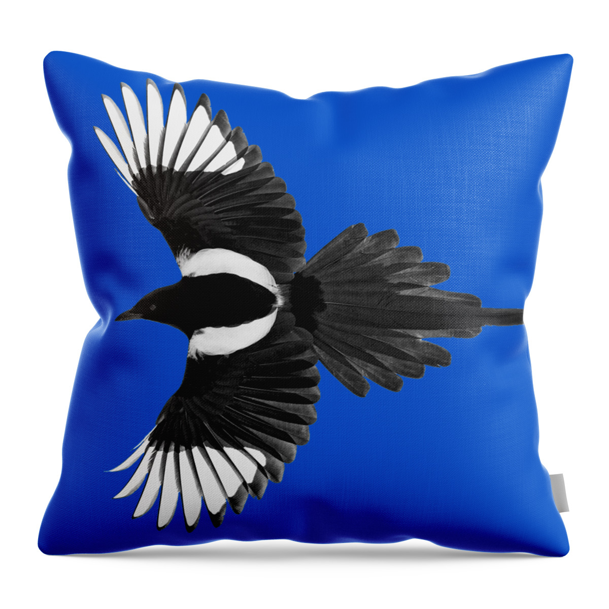 Magpie Throw Pillow featuring the photograph Magpie Shirt Design by Max Waugh