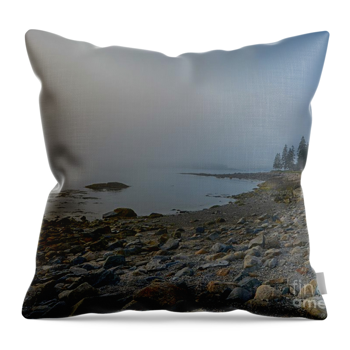 Port Clyde Throw Pillow featuring the photograph Maine Coastline by Steve Brown