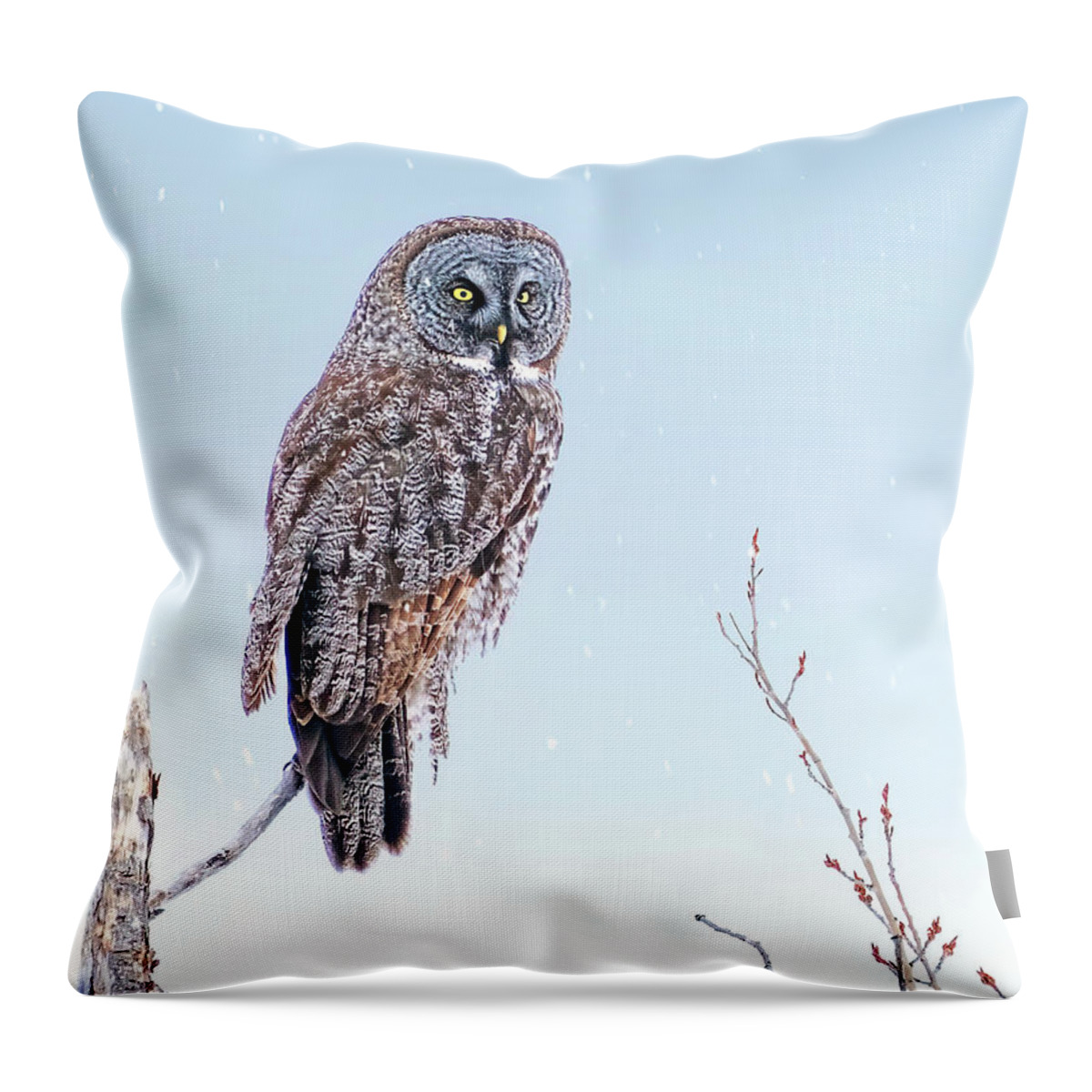 Great Gray Owls Throw Pillow featuring the photograph Majestic Great Gray Owl by Judi Dressler