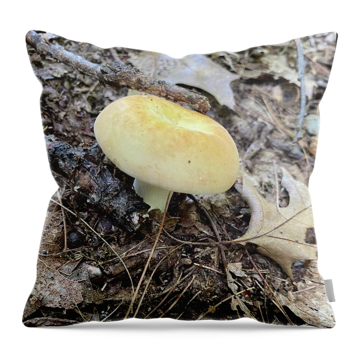 Mushroom Throw Pillow featuring the photograph Majestic Mushrooms #65 by Anjel B Hartwell