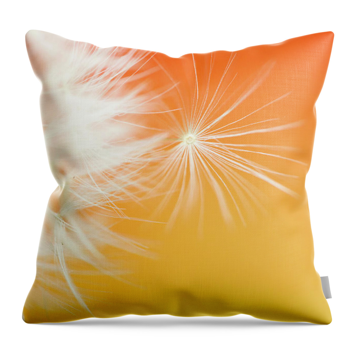 Ideas Throw Pillow featuring the photograph Make a Wish - on Orange and Yellow by Anita Nicholson