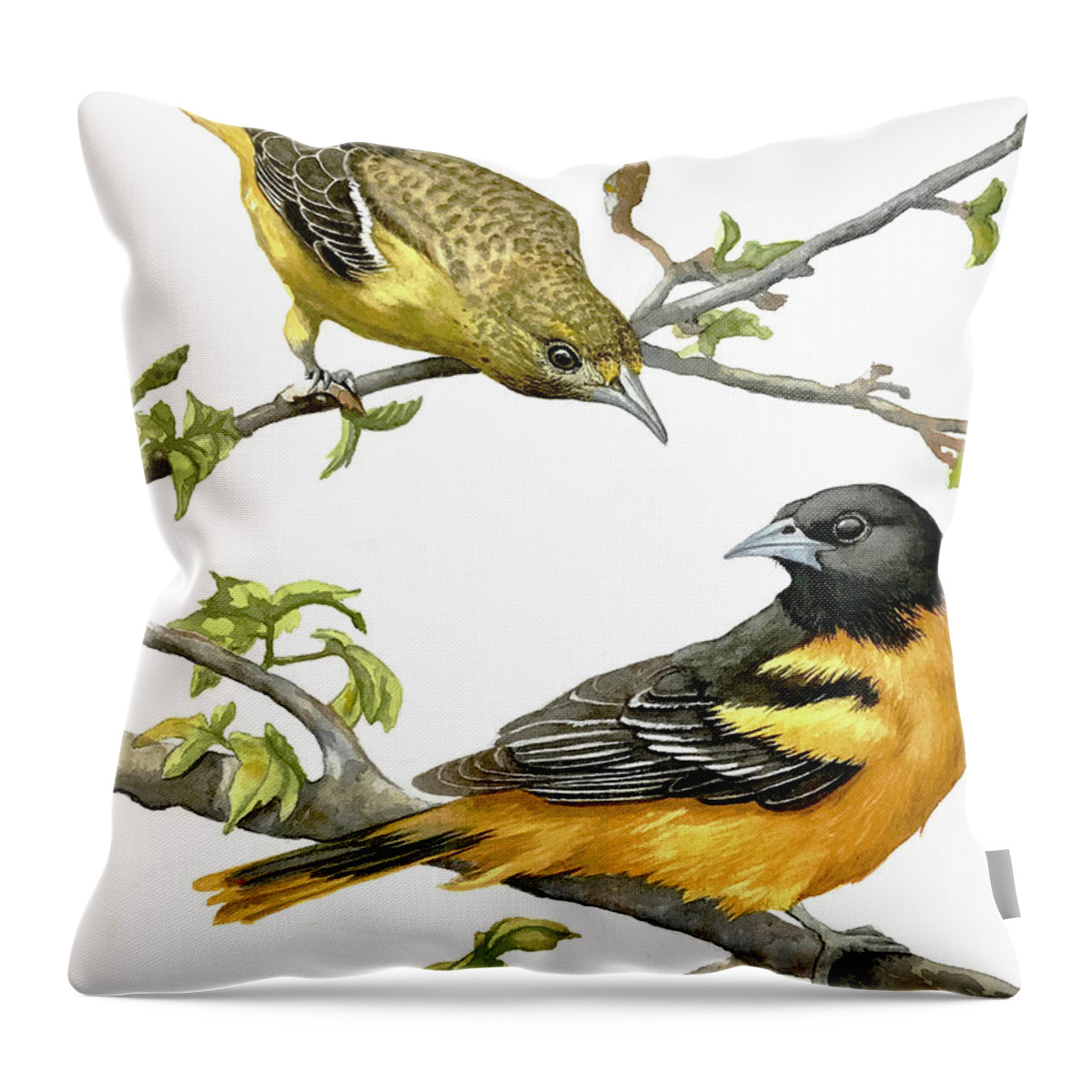 Watercolor Throw Pillow featuring the painting Male and Female Baltimore Orioles by Linda Apple