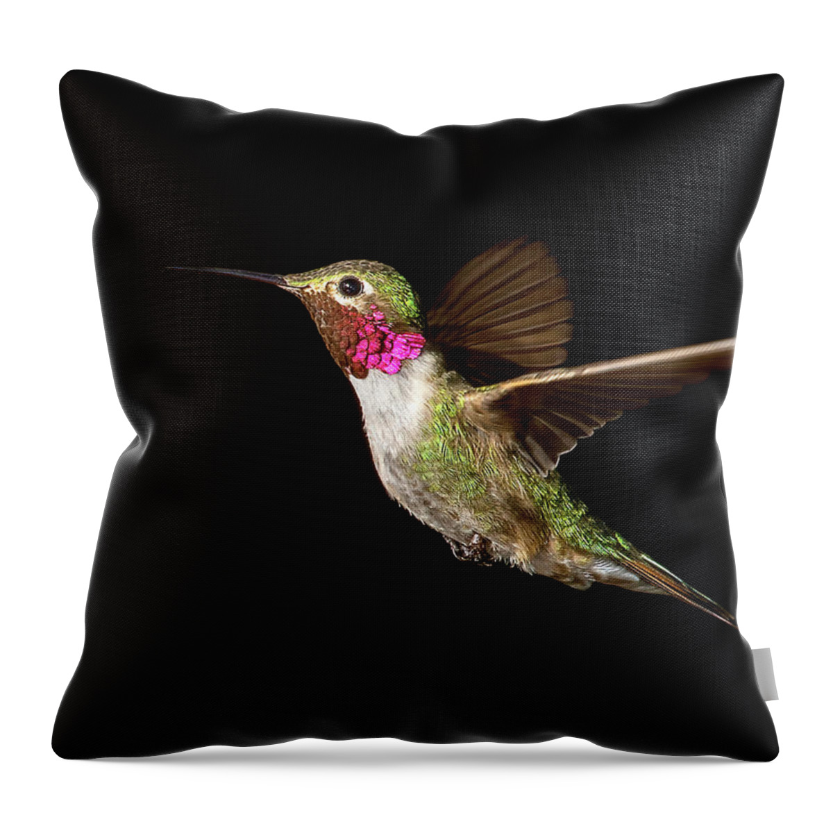 Hummingbird Throw Pillow featuring the photograph Male Broad-tailed Hummingbird by Judi Dressler