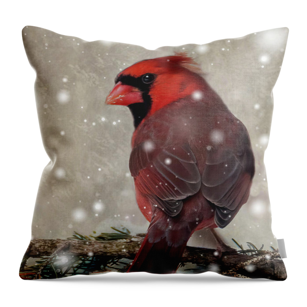 Bird Throw Pillow featuring the photograph Male Cardinal in Snow #1 by Patti Deters