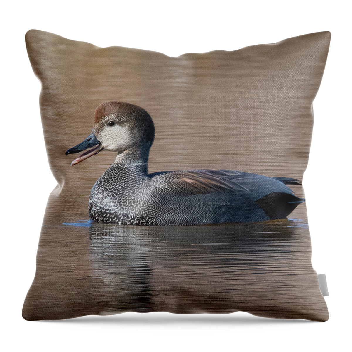 Nature Throw Pillow featuring the photograph Male Common Gadwall DWF0226 by Gerry Gantt