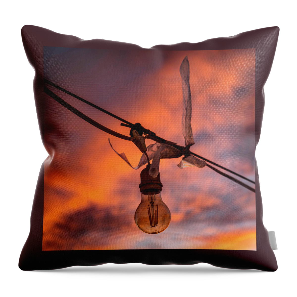 Lightbulb Throw Pillow featuring the photograph Malibu Light by Chris Goldberg
