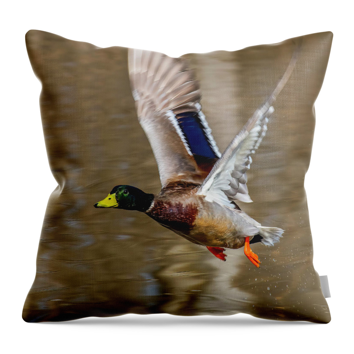 Nature Throw Pillow featuring the photograph Mallard Drake in Flight DWF0252 by Gerry Gantt