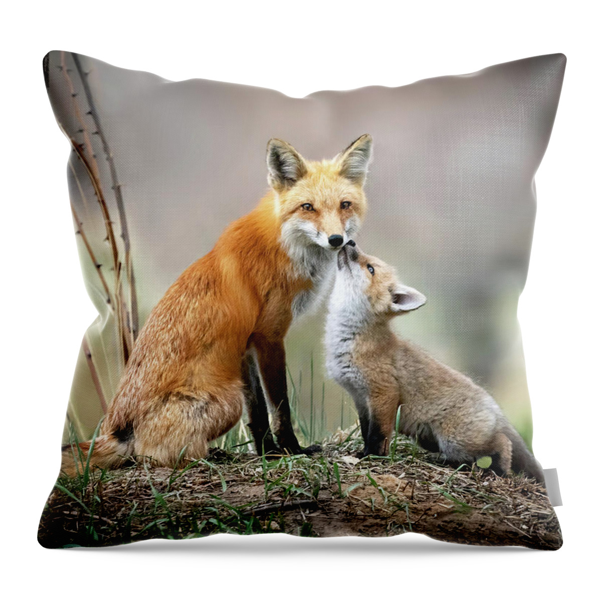 Foxes Throw Pillow featuring the photograph Mama and Baby Fox by Judi Dressler