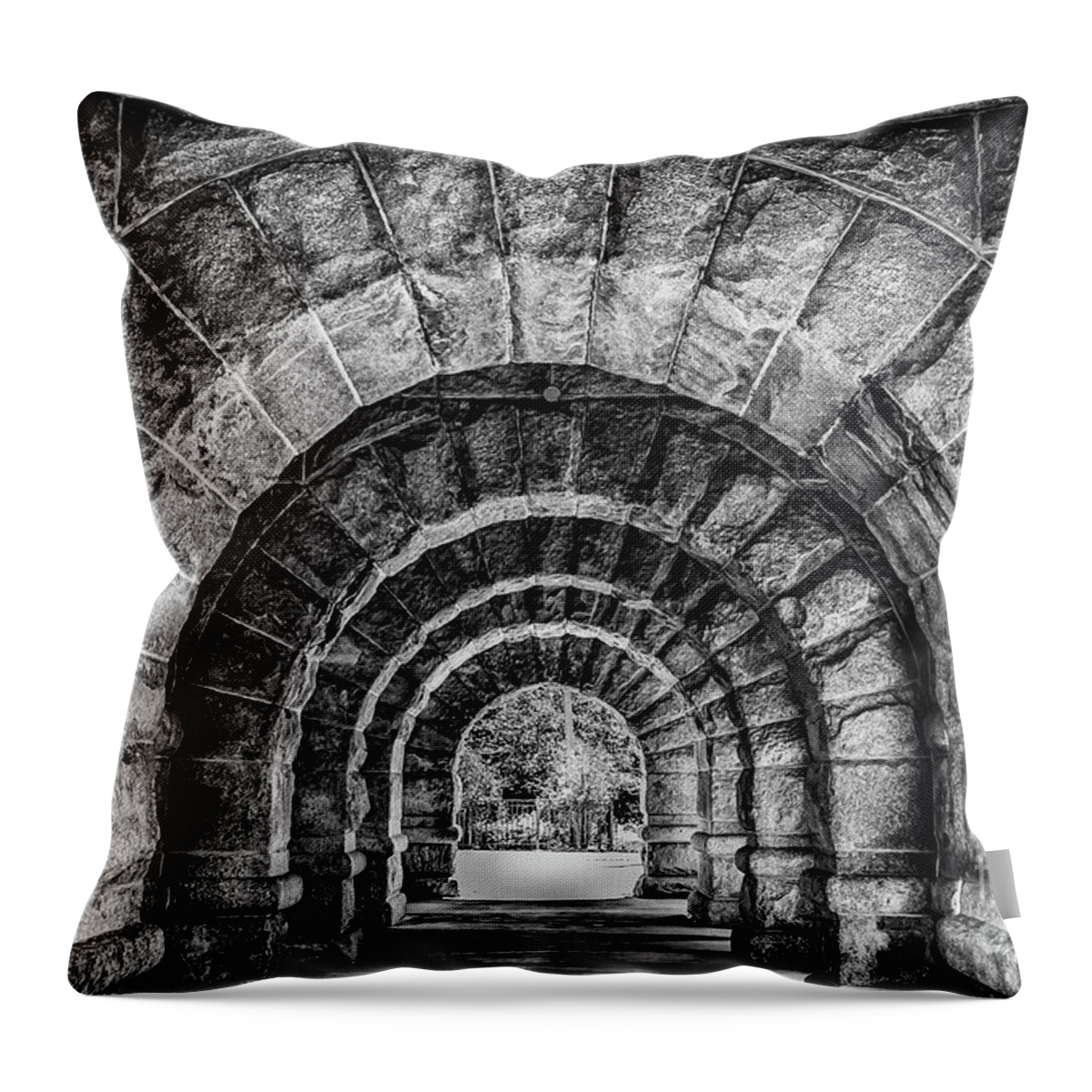 Black And White Throw Pillow featuring the photograph Many Arches by Charles McCleanon