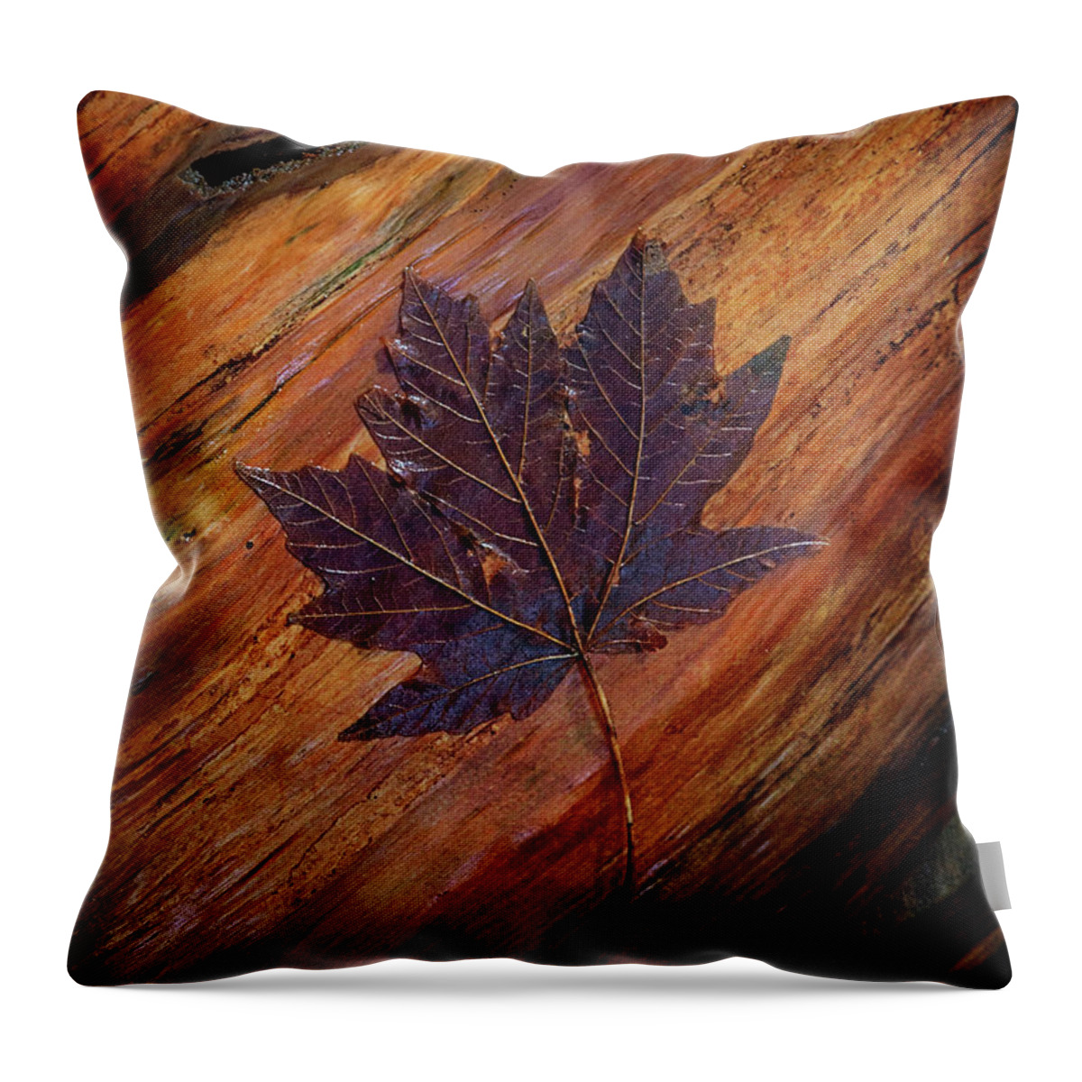 B.c. Throw Pillow featuring the photograph Maple Leaf by Carmen Kern
