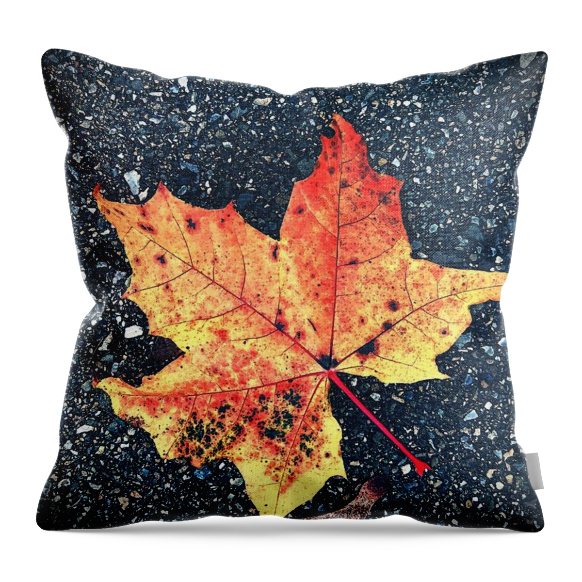 Autumn Throw Pillow featuring the photograph Maple Leaf by Claudia Zahnd-Prezioso