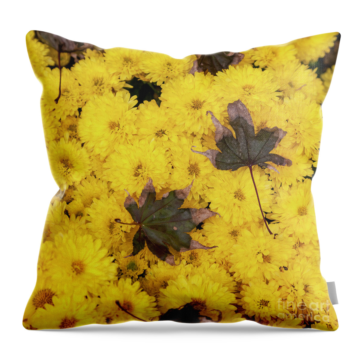 Autumn Throw Pillow featuring the photograph Maple Leaves on Chrysanthemum by William Kuta