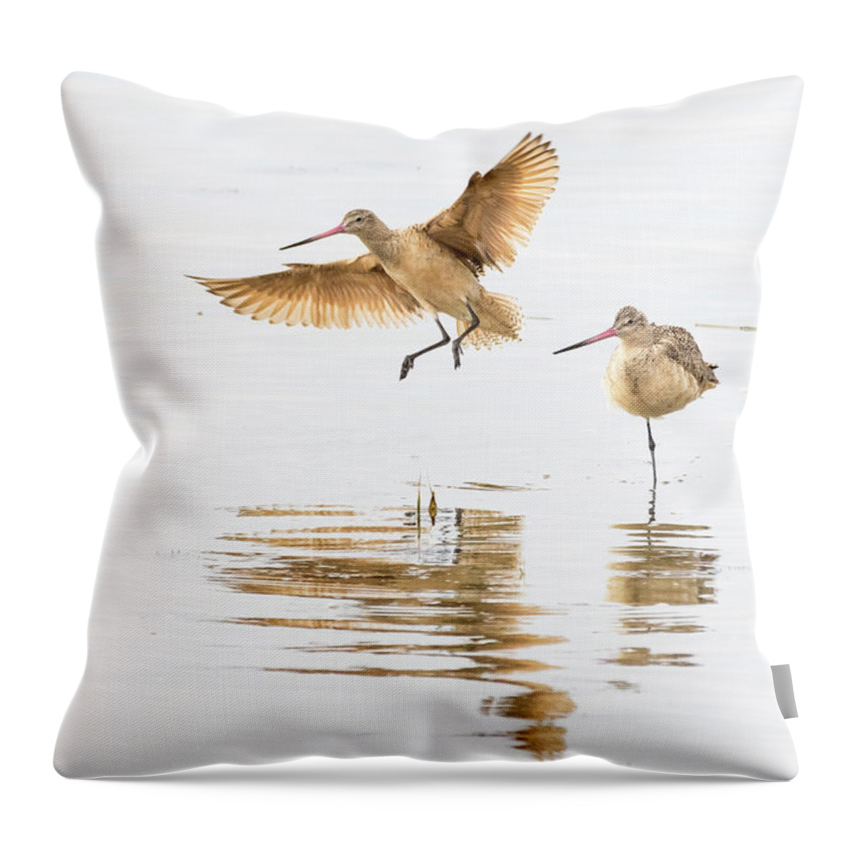  Throw Pillow featuring the photograph Marbled Godwit by Jim Miller
