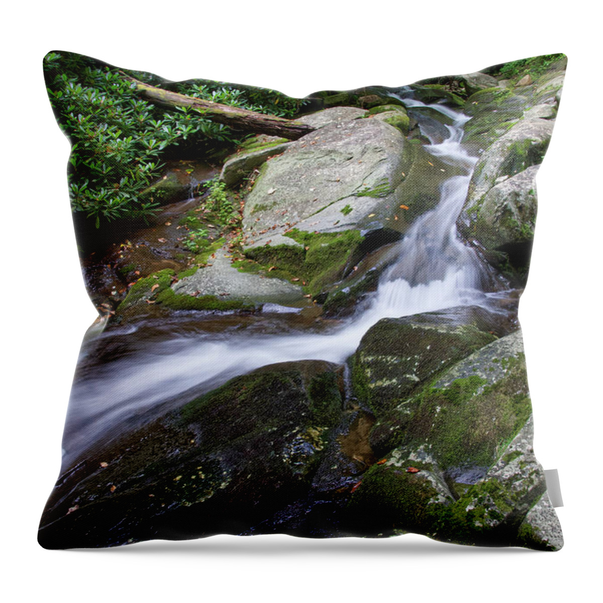 Margarette Falls Throw Pillow featuring the photograph Margarette Falls 31 by Phil Perkins