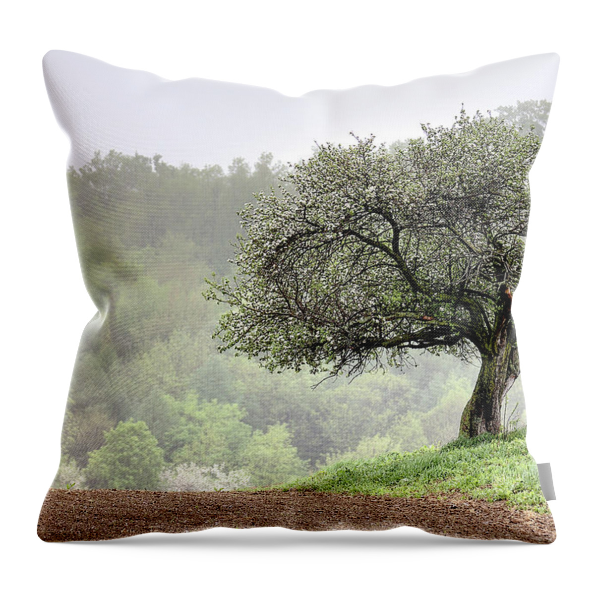 Trees Throw Pillow featuring the photograph Marilla Tree by Don Nieman