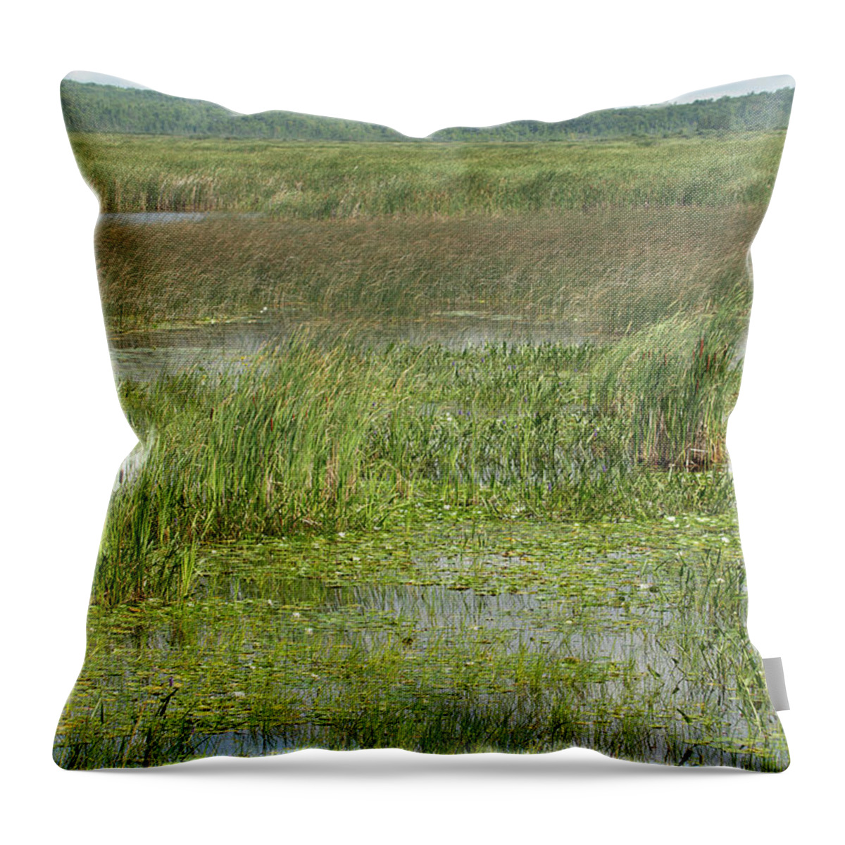 Wetlands Throw Pillow featuring the photograph Marsh Wetlands by James Canning