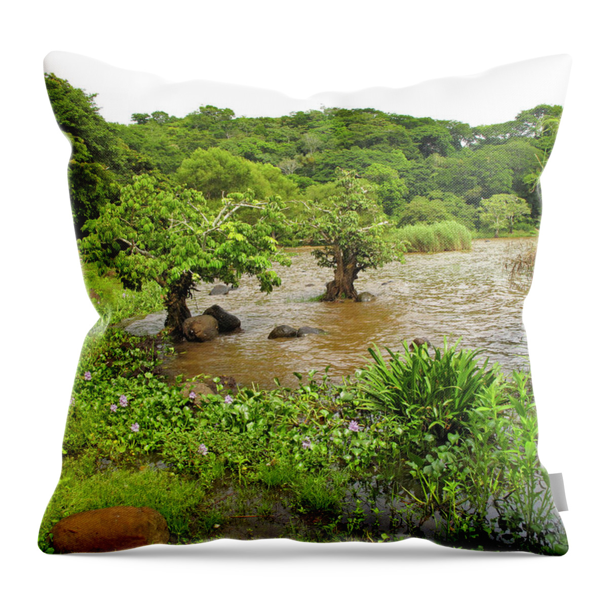 Marshland Throw Pillow featuring the mixed media Marshland on shore of Lake Catemaco by Lorena Cassady