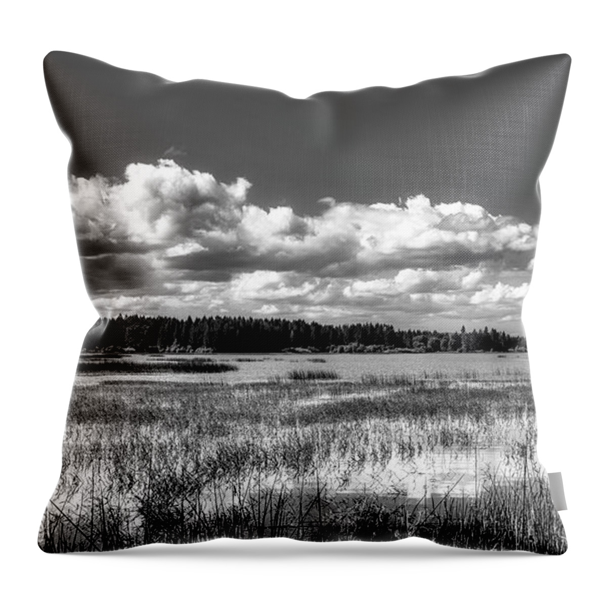 Marsh Throw Pillow featuring the photograph Marshland Reflection by Mountain Dreams