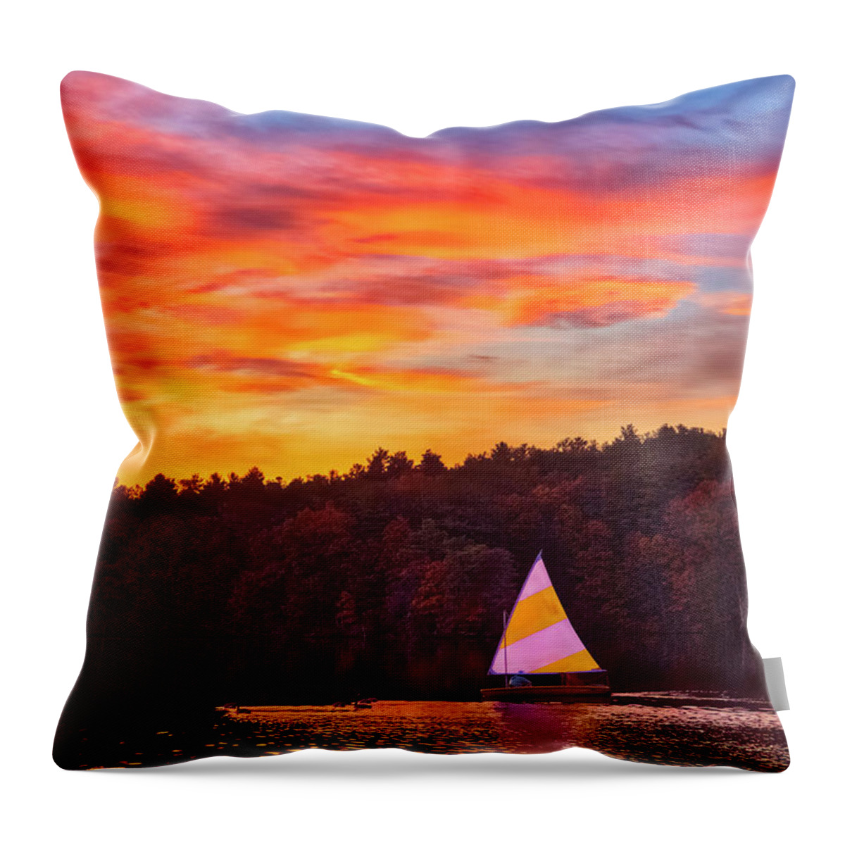 Lake Cochituate Throw Pillow featuring the photograph Massachusetts Lake Cochituate State Park by Juergen Roth