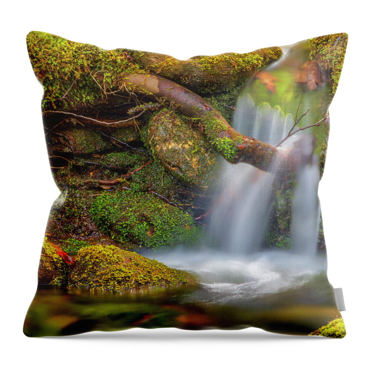 Willard Brook State Forest Throw Pillow featuring the photograph Massachusetts Waterfall by Juergen Roth
