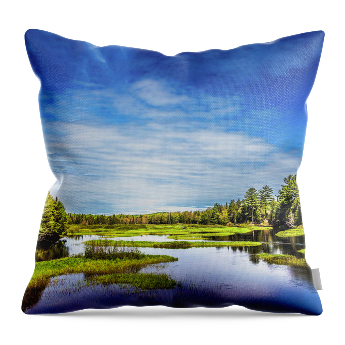 May In The Adirondacks Throw Pillow featuring the photograph May in the Adirondacks by David Patterson