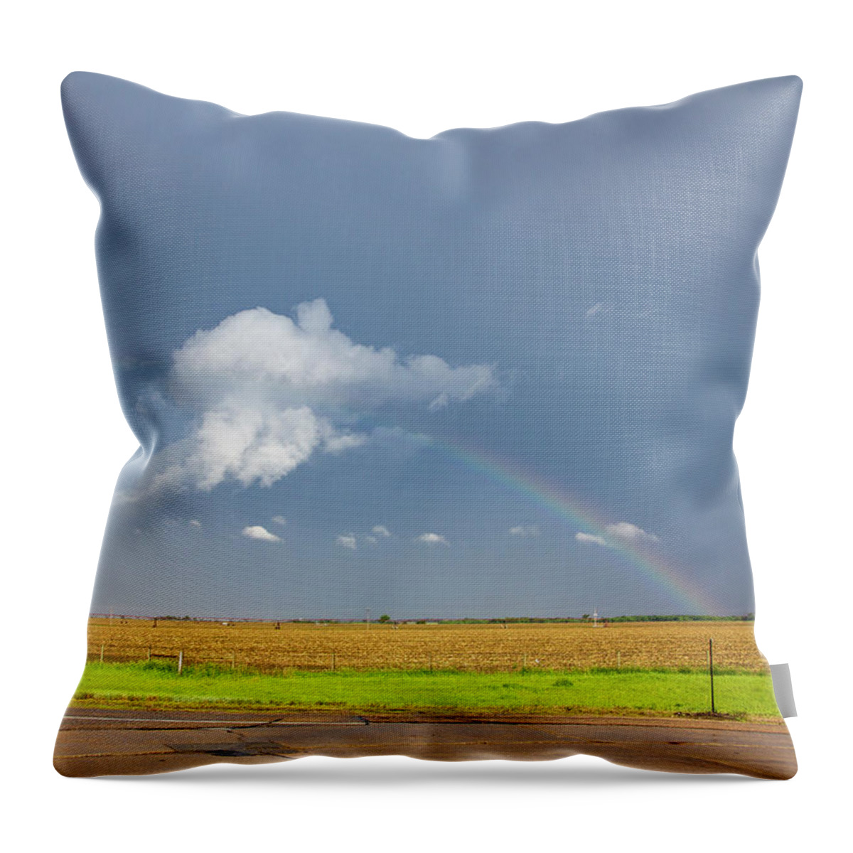 Nebraskasc Throw Pillow featuring the photograph McLuvn Nebraska Thunderstorms 003 by NebraskaSC