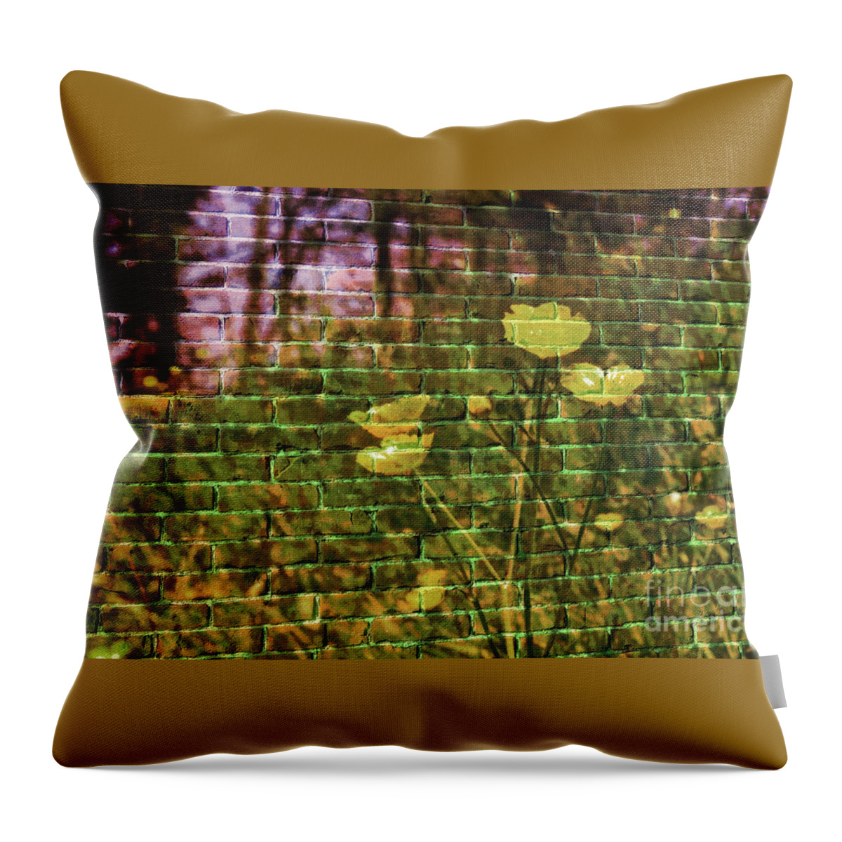 Affinity Photo Throw Pillow featuring the photograph Meadow flowers on brick wall by Pics By Tony