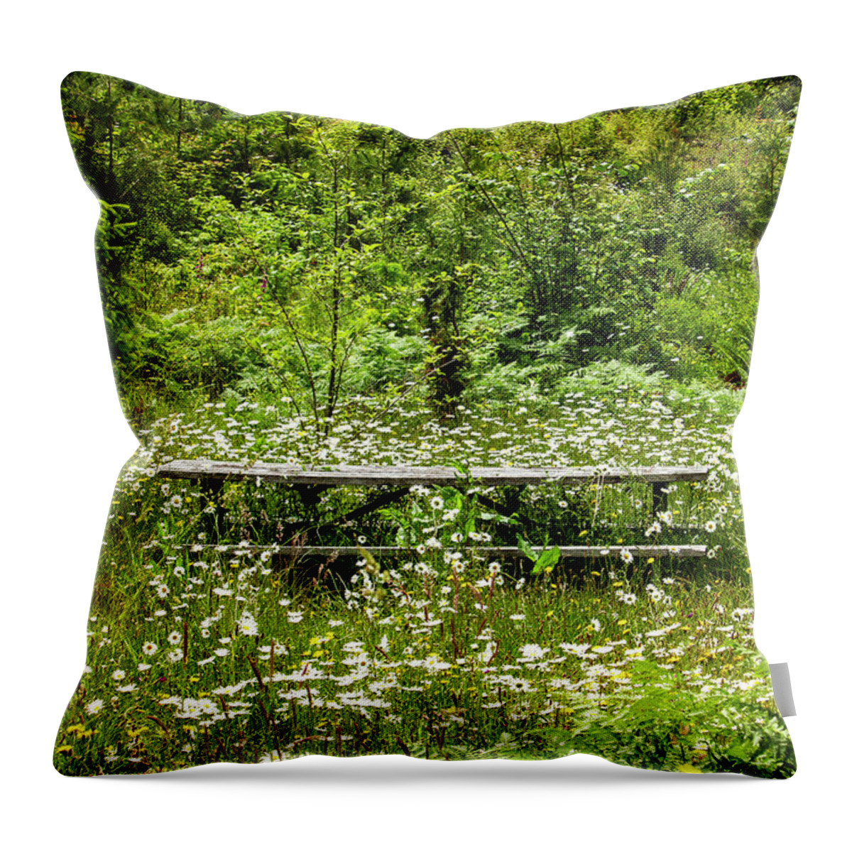 Daisys Throw Pillow featuring the photograph Meadow Picnic by Cheryl Day
