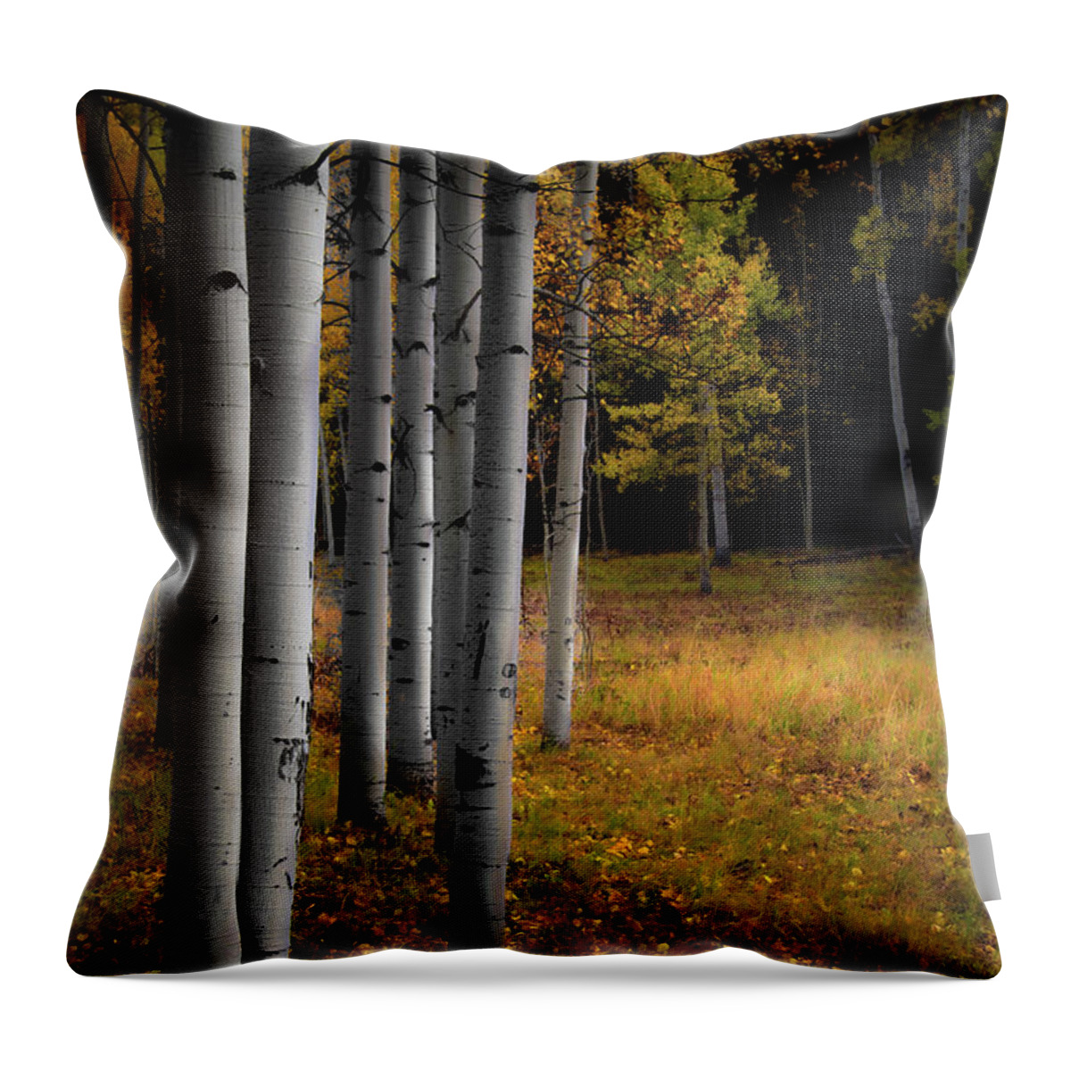Fall Aspen Trees Throw Pillow featuring the photograph Meadow Walk by The Forests Edge Photography - Diane Sandoval