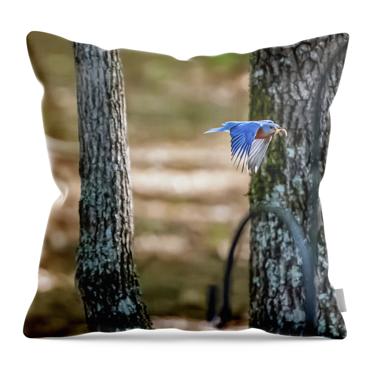 Animal Throw Pillow featuring the photograph Meal Delivery Service by Norman Peay