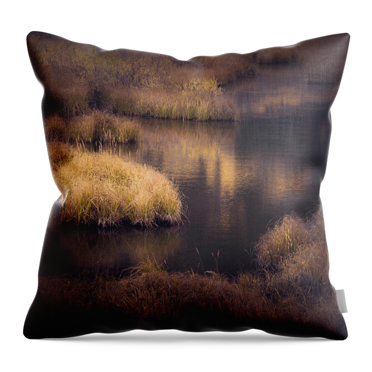 Fall Throw Pillow featuring the photograph Meandering by The Forests Edge Photography - Diane Sandoval
