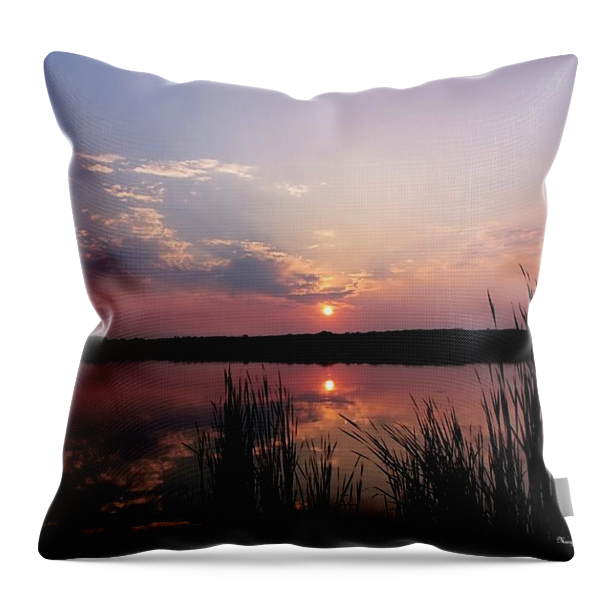 Lake Throw Pillow featuring the photograph Meditation by Mary Walchuck