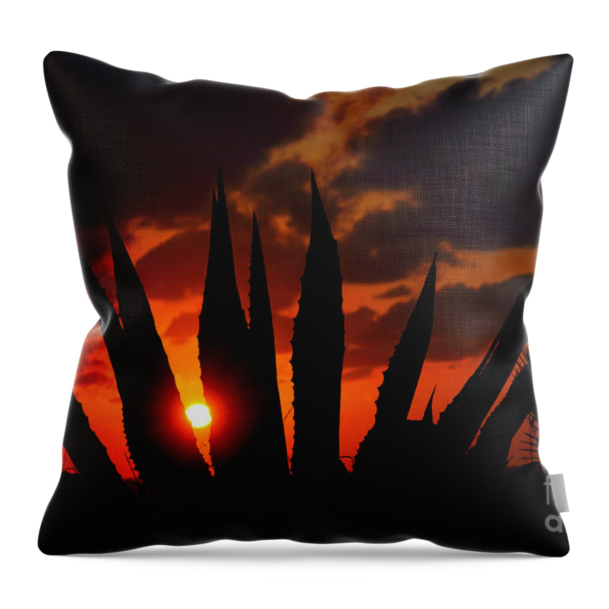 Mediterranean Throw Pillow featuring the photograph Mediterranean Sunset. a2 by Vladi Alon