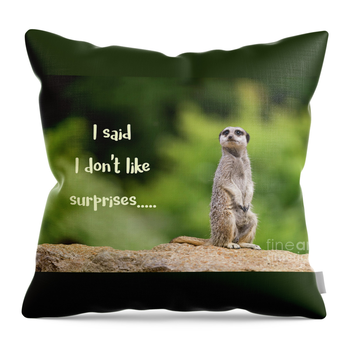Meerkat Throw Pillow featuring the photograph Meerkat who doesn't like surprises by Jane Rix