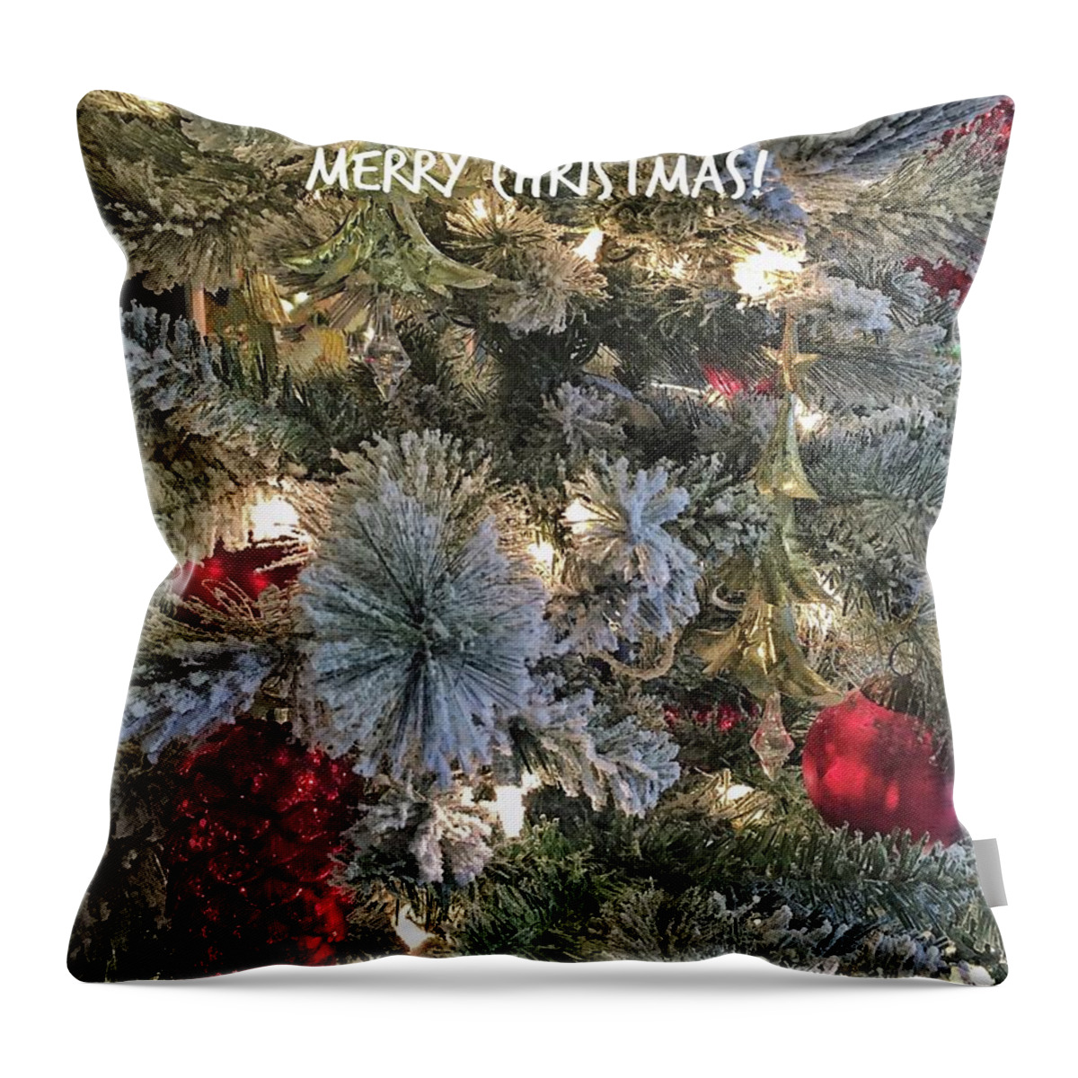 Christmas Throw Pillow featuring the photograph Merry Christmas #3 by Jerry Abbott