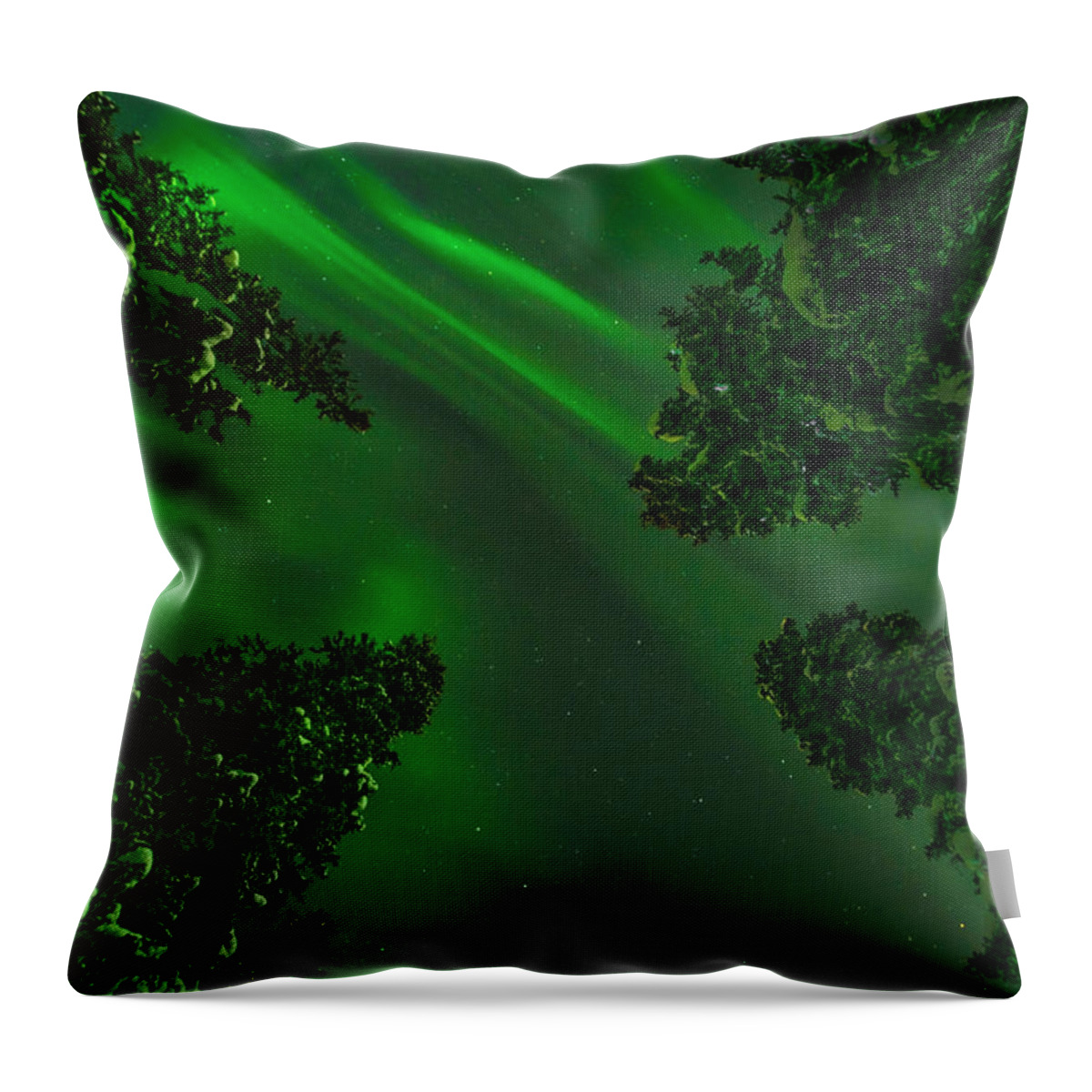 Aurora Borealis Throw Pillow featuring the photograph Message in the Sky by Philippe Sainte-Laudy