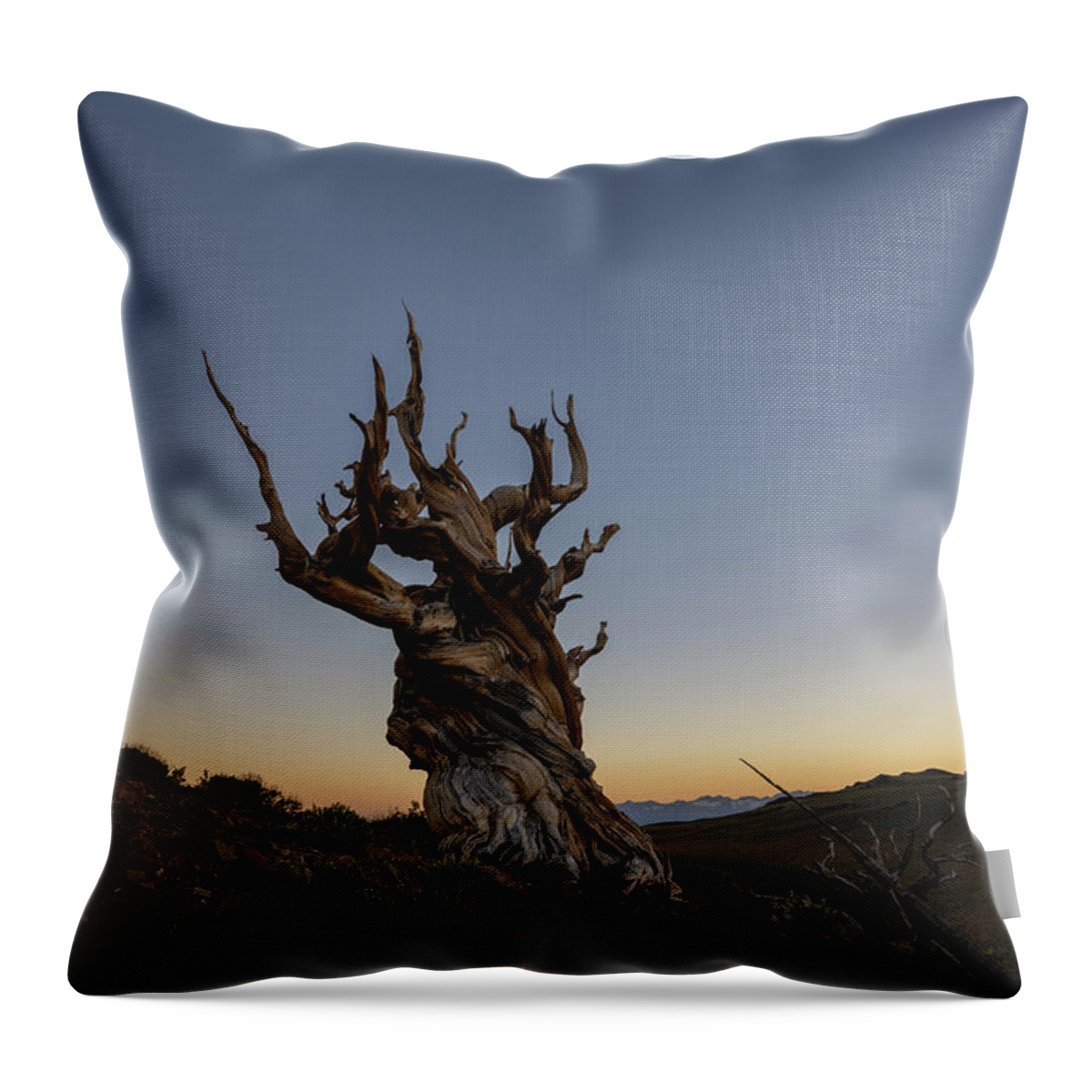 Sunset Throw Pillow featuring the photograph Methuselah Moon by Michael Ver Sprill