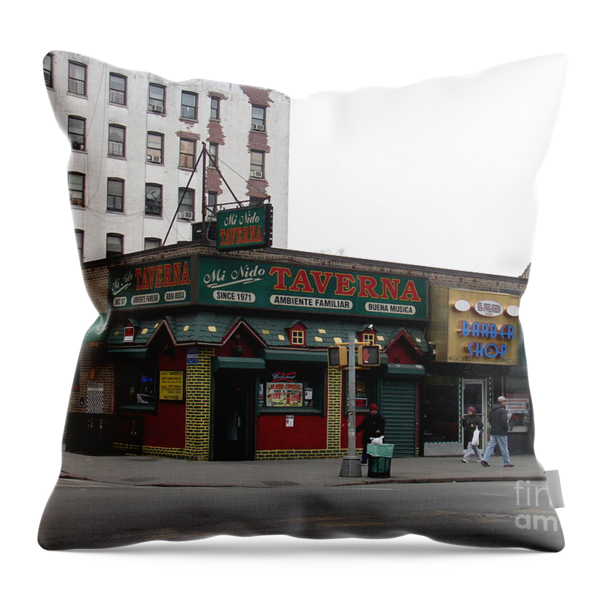 Inwood Throw Pillow featuring the photograph Mi Nido by Cole Thompson