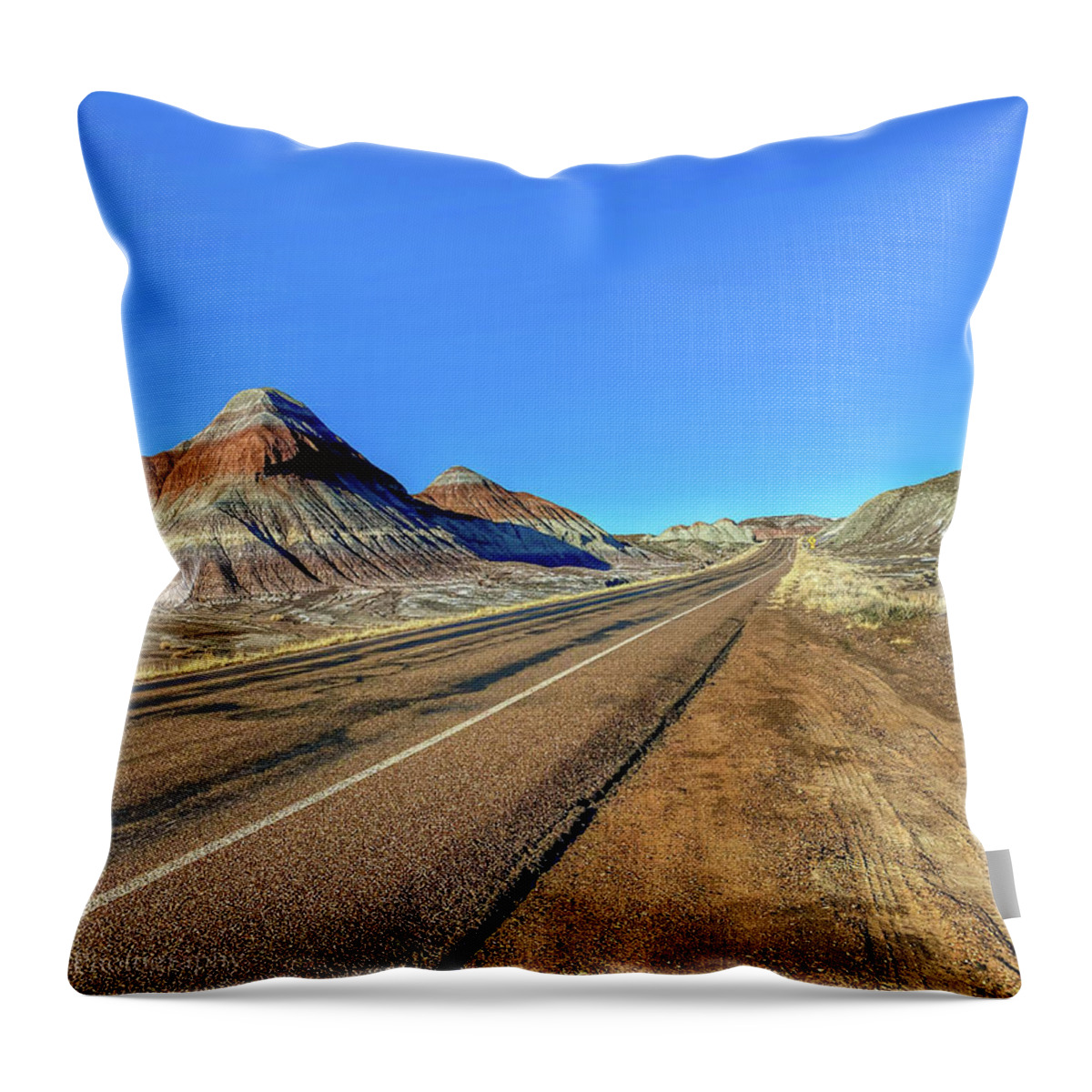 Road Throw Pillow featuring the photograph Middle of Nowhwere by Pam Rendall