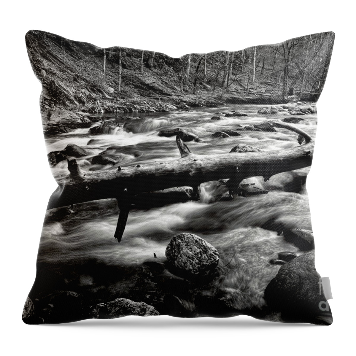 Middle Prong Trail Throw Pillow featuring the photograph Middle Prong Little River 5 by Phil Perkins