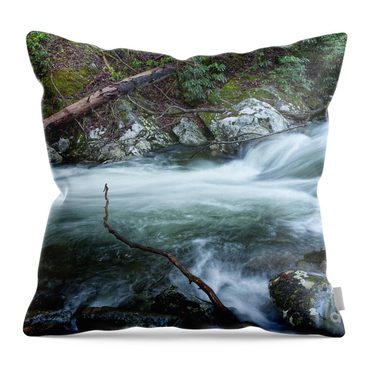 Middle Prong Little River Throw Pillow featuring the photograph Middle Prong Little River 51 by Phil Perkins