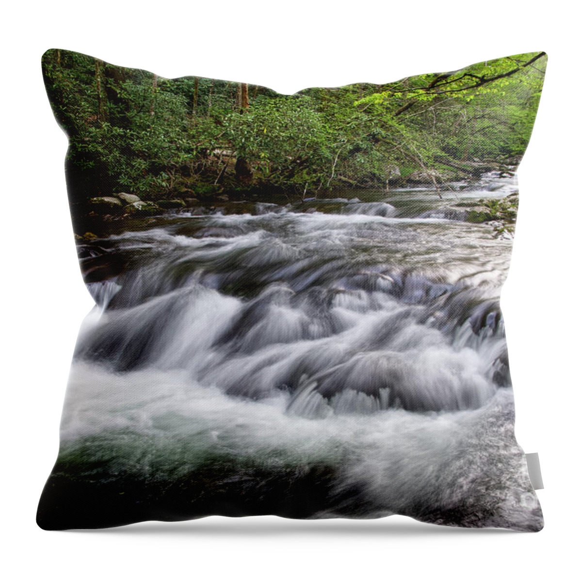 Middle Prong Trail Throw Pillow featuring the photograph Middle Prong Little River 9 by Phil Perkins