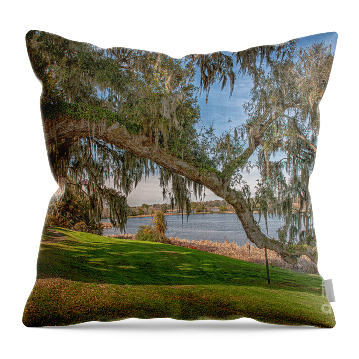Live Oak Tree Throw Pillow featuring the photograph Middleton Oak Stretching to the Ashley River by Dale Powell