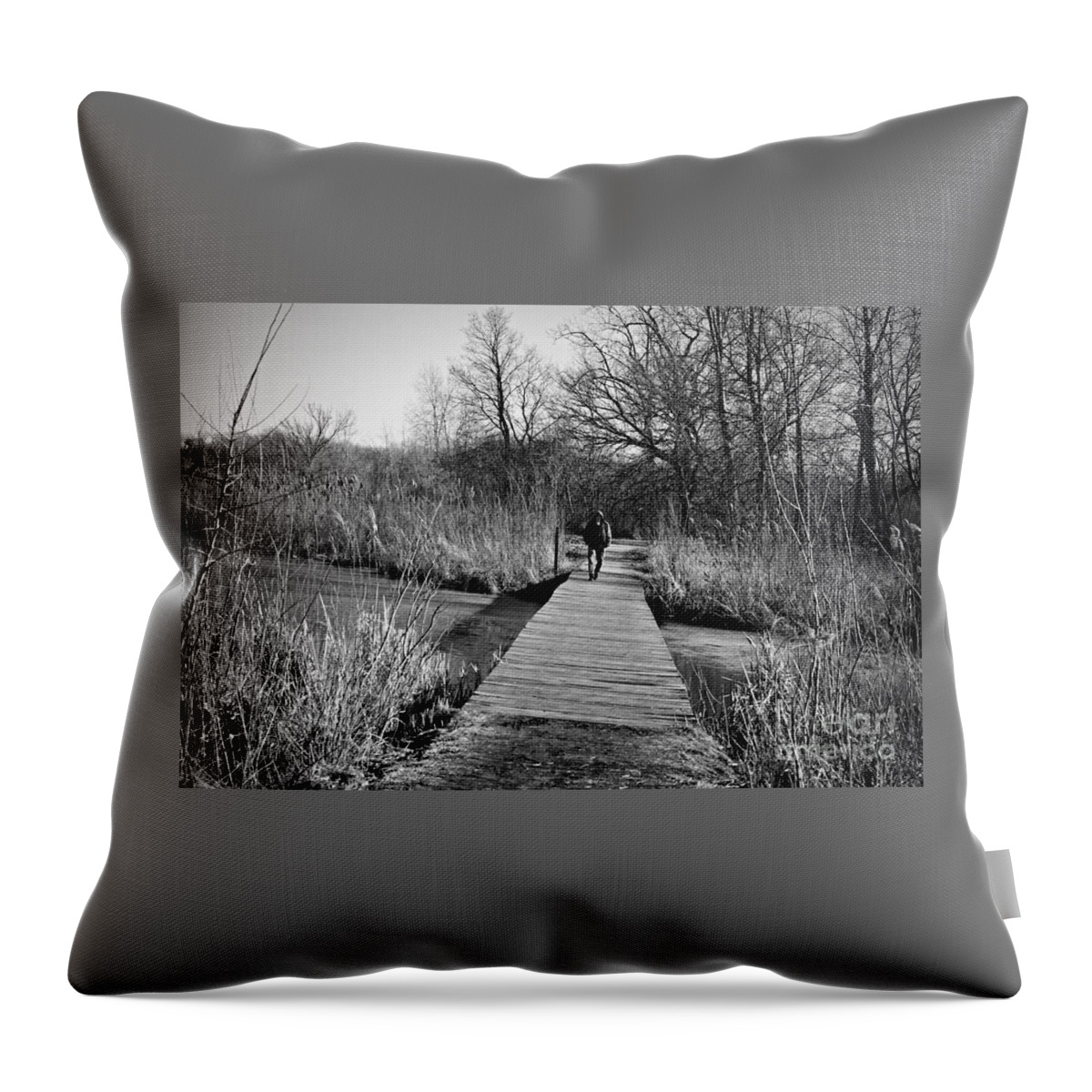 Wetlands Throw Pillow featuring the photograph Mild Day Winter Wetlands - Black And White by Frank J Casella