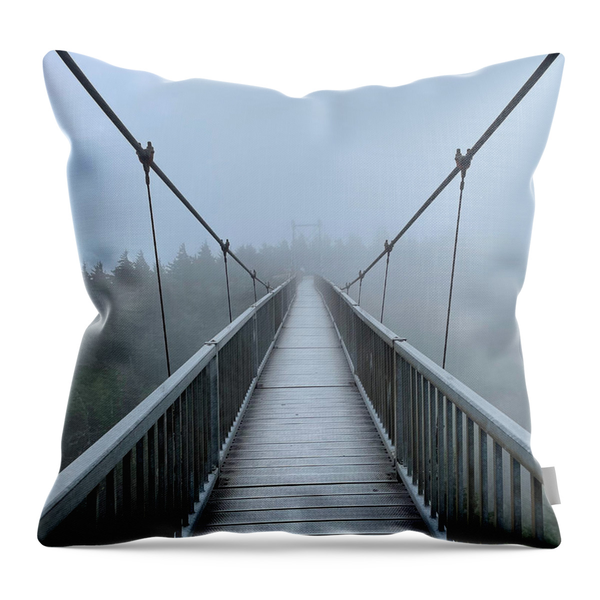 Lines Throw Pillow featuring the photograph Mile High by Lee Darnell