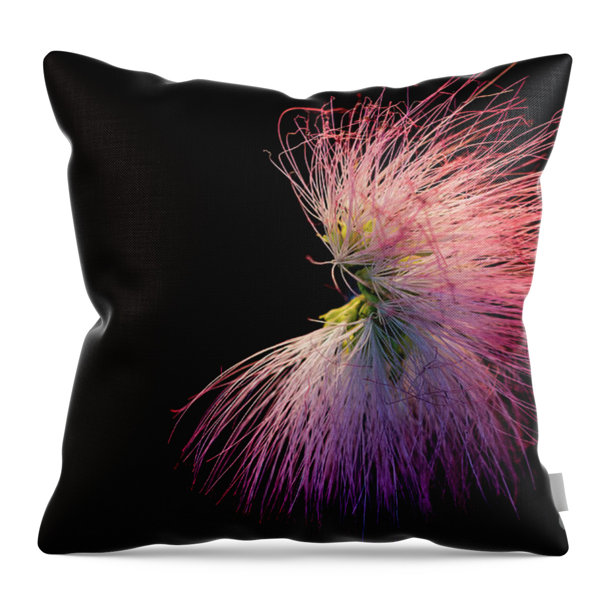 Landscape Throw Pillow featuring the photograph Mimosa Tree Blossom by Theresa D Williams