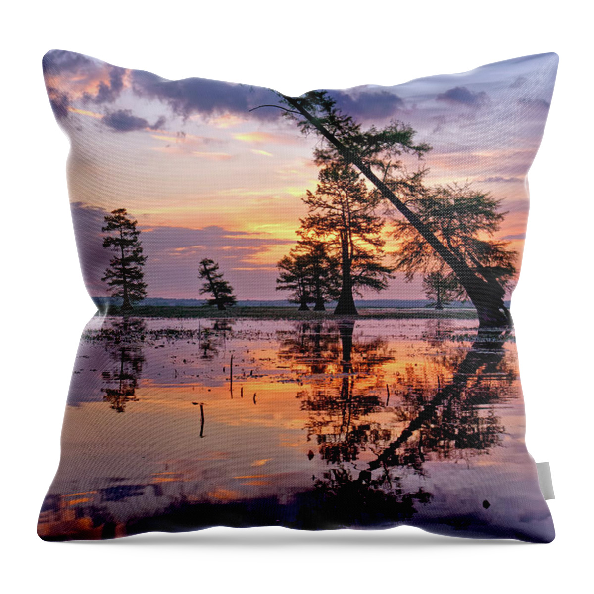 Bald Cypress Throw Pillow featuring the photograph Mingo National Wildlife Refuge by Robert Charity