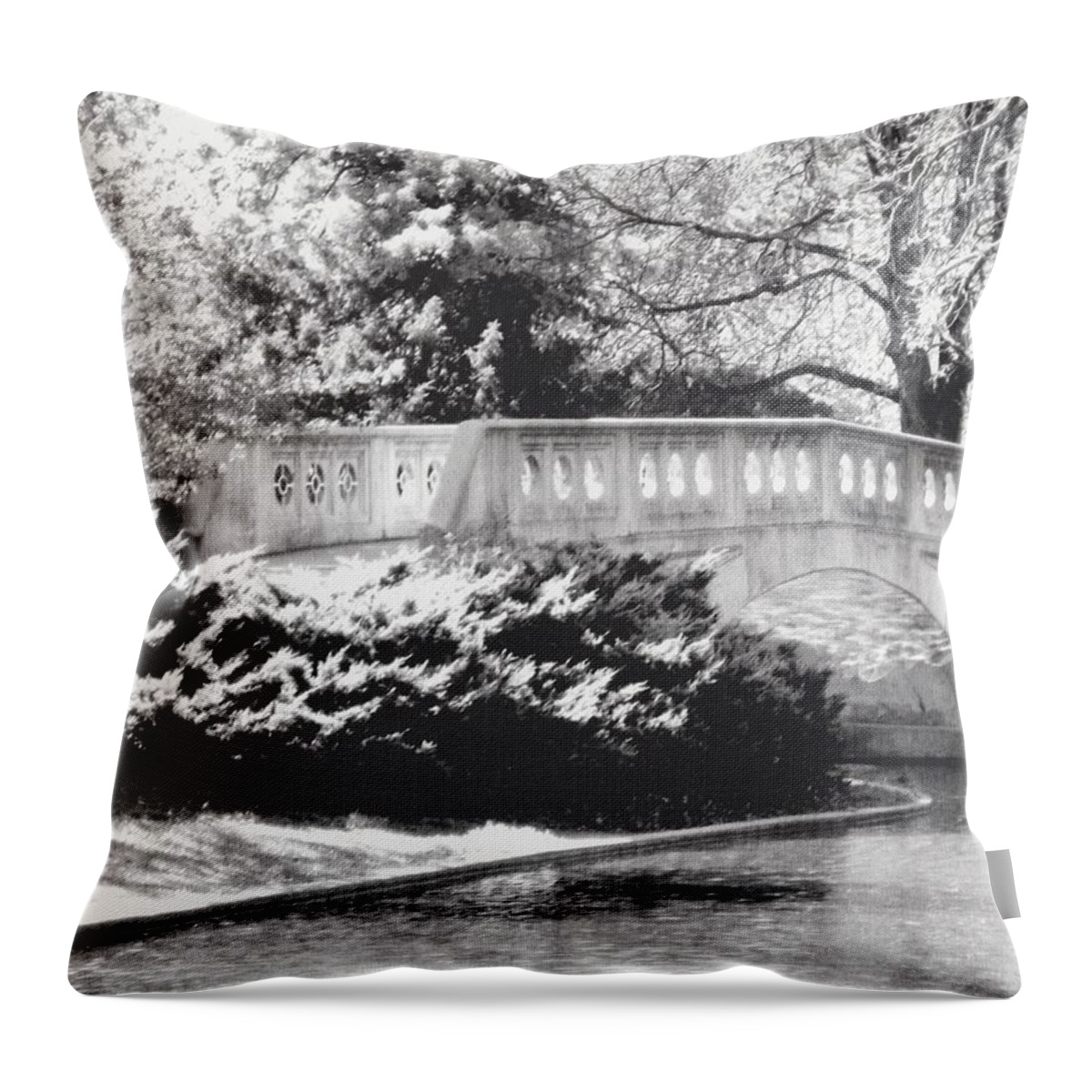 Eden Park Throw Pillow featuring the painting Twin Lakes 2 by Suzzanna Frank
